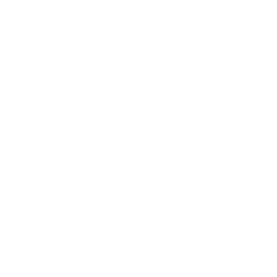 DOLPHINBRAIN